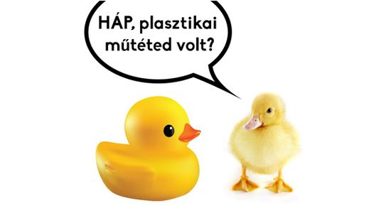 Napi ápolás / Plasztikai sebészet